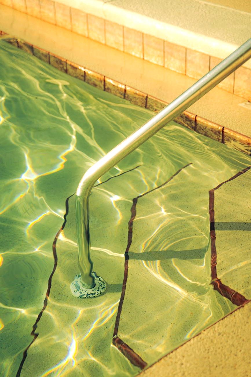 Eco-friendly products used by vigarii pool cleaning team