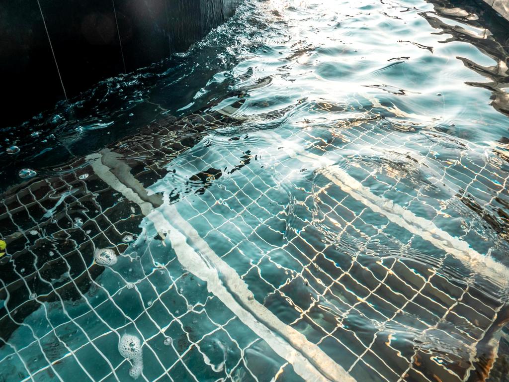 Professional pool cleaning team conducting comprehensive water testing and chemical analysis