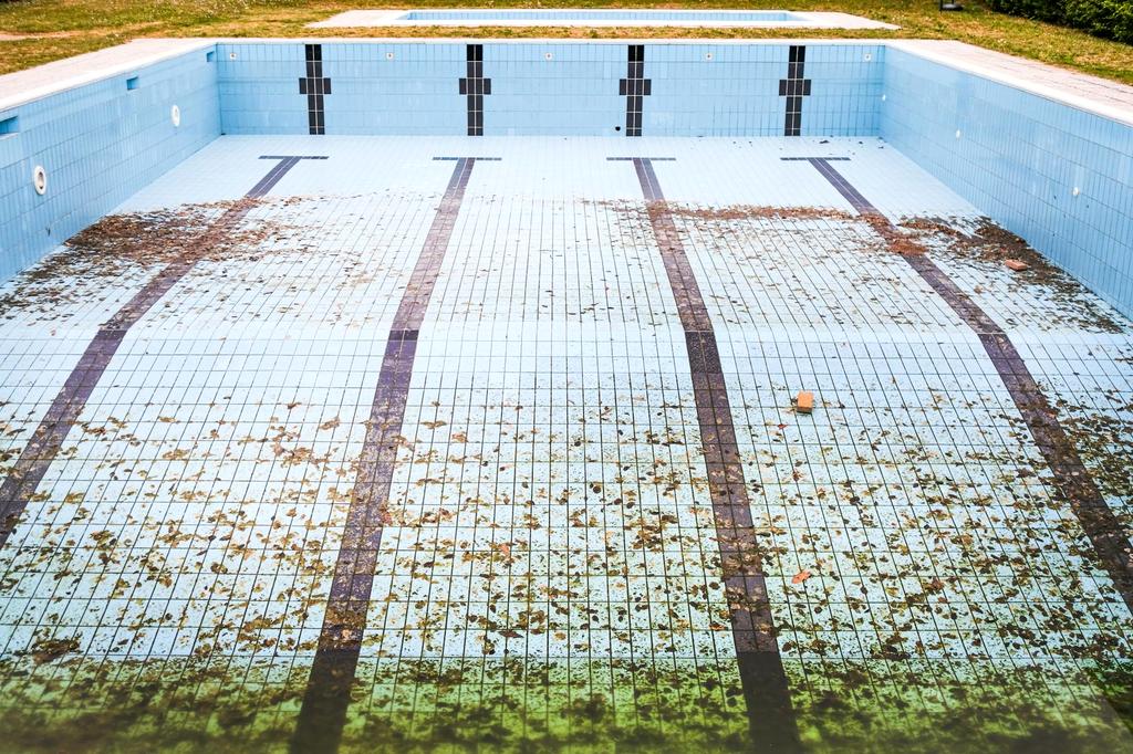 Calm and clear swimming pool reflecting privacy